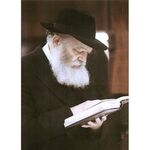Lebavitcher Rebbe | Jewish Art Oil Painting Gallery HPCLR03107