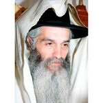Rabbi David Abuhatzerah 2 | Jewish Art Oil Painting Gallery HPCRDA22810