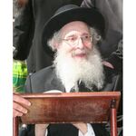 Rabbi Finkel 3 | Jewish Art Oil Painting Gallery HPCRF33242