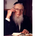 Rabbi Henoch Leibowitz | Jewish Art Oil Painting Gallery HPCRHL3260